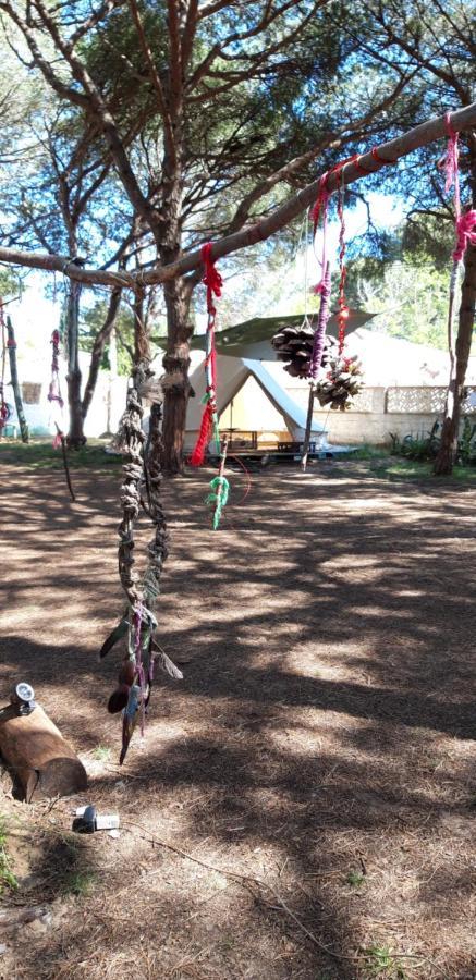 The Pineforest Cabin شيكلانا دي لا فرونتيرا المظهر الخارجي الصورة