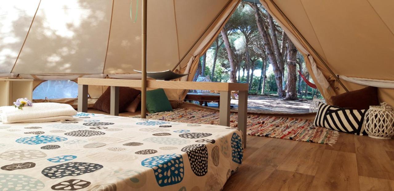 The Pineforest Cabin شيكلانا دي لا فرونتيرا المظهر الخارجي الصورة