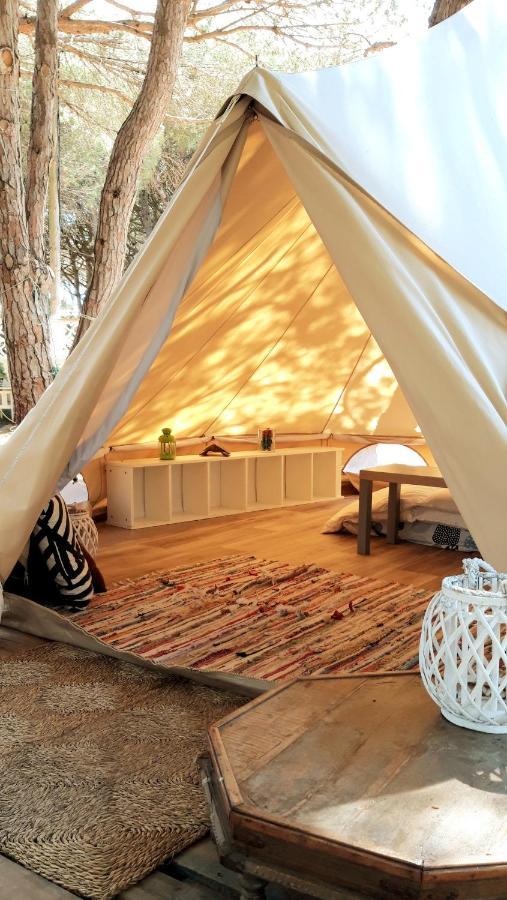 The Pineforest Cabin شيكلانا دي لا فرونتيرا المظهر الخارجي الصورة
