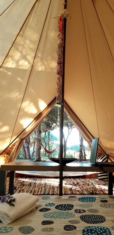 The Pineforest Cabin شيكلانا دي لا فرونتيرا المظهر الخارجي الصورة