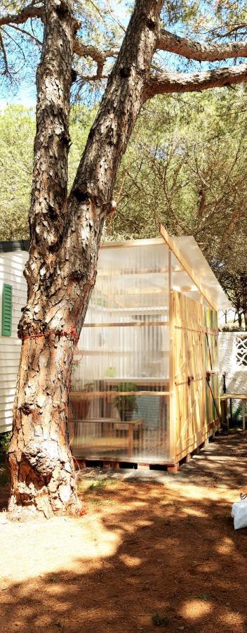 The Pineforest Cabin شيكلانا دي لا فرونتيرا المظهر الخارجي الصورة