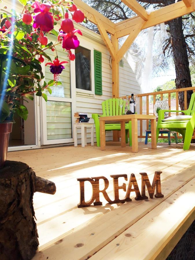 The Pineforest Cabin شيكلانا دي لا فرونتيرا المظهر الخارجي الصورة